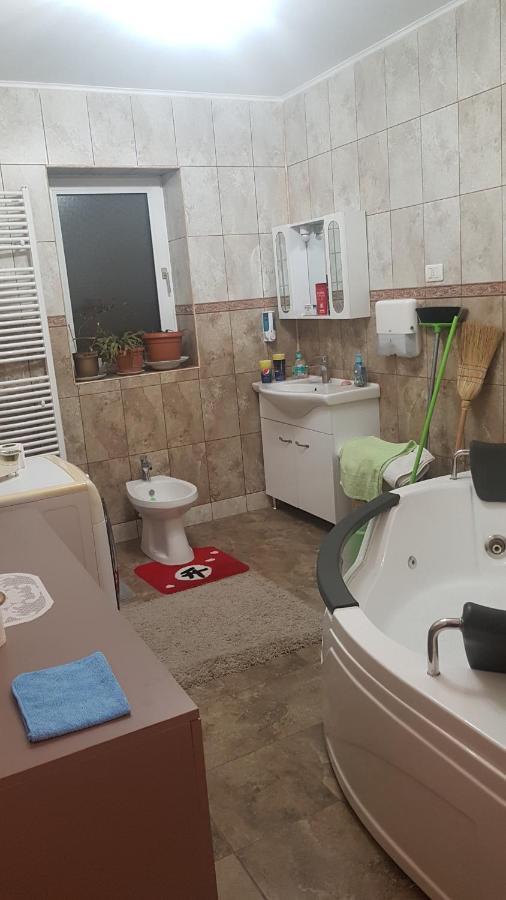 Casa Cojanu Hotel Petrosani Luaran gambar