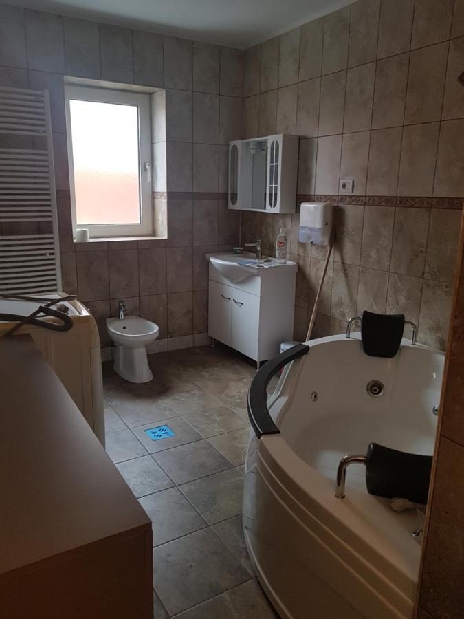Casa Cojanu Hotel Petrosani Luaran gambar