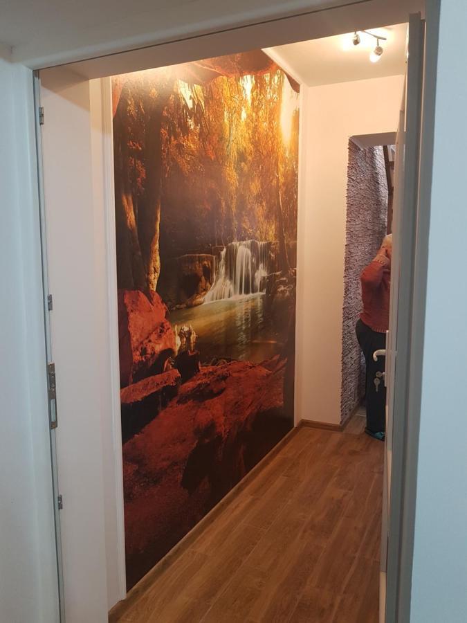Casa Cojanu Hotel Petrosani Luaran gambar