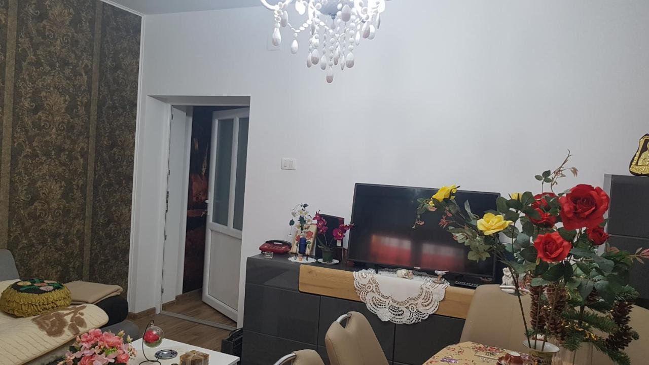 Casa Cojanu Hotel Petrosani Luaran gambar