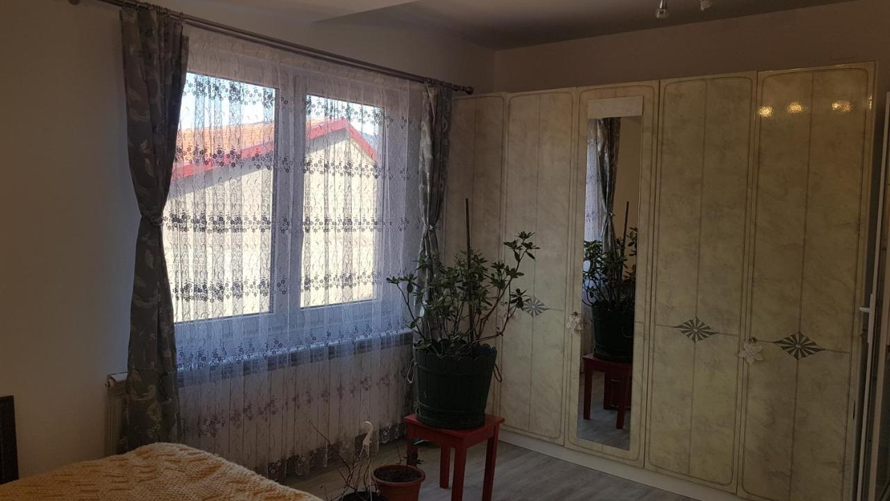 Casa Cojanu Hotel Petrosani Luaran gambar