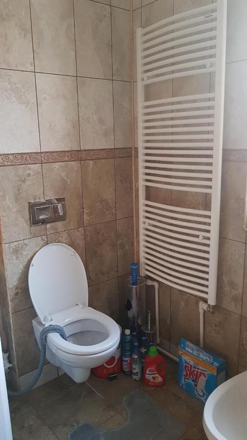 Casa Cojanu Hotel Petrosani Luaran gambar