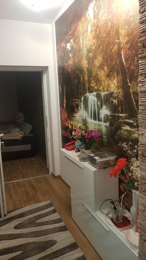 Casa Cojanu Hotel Petrosani Luaran gambar